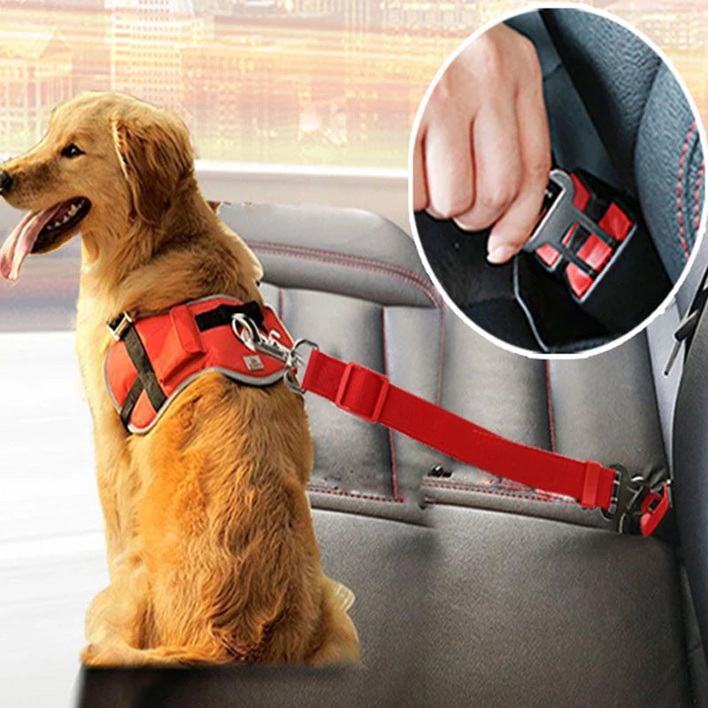 Adjustable Pet Cat Dog